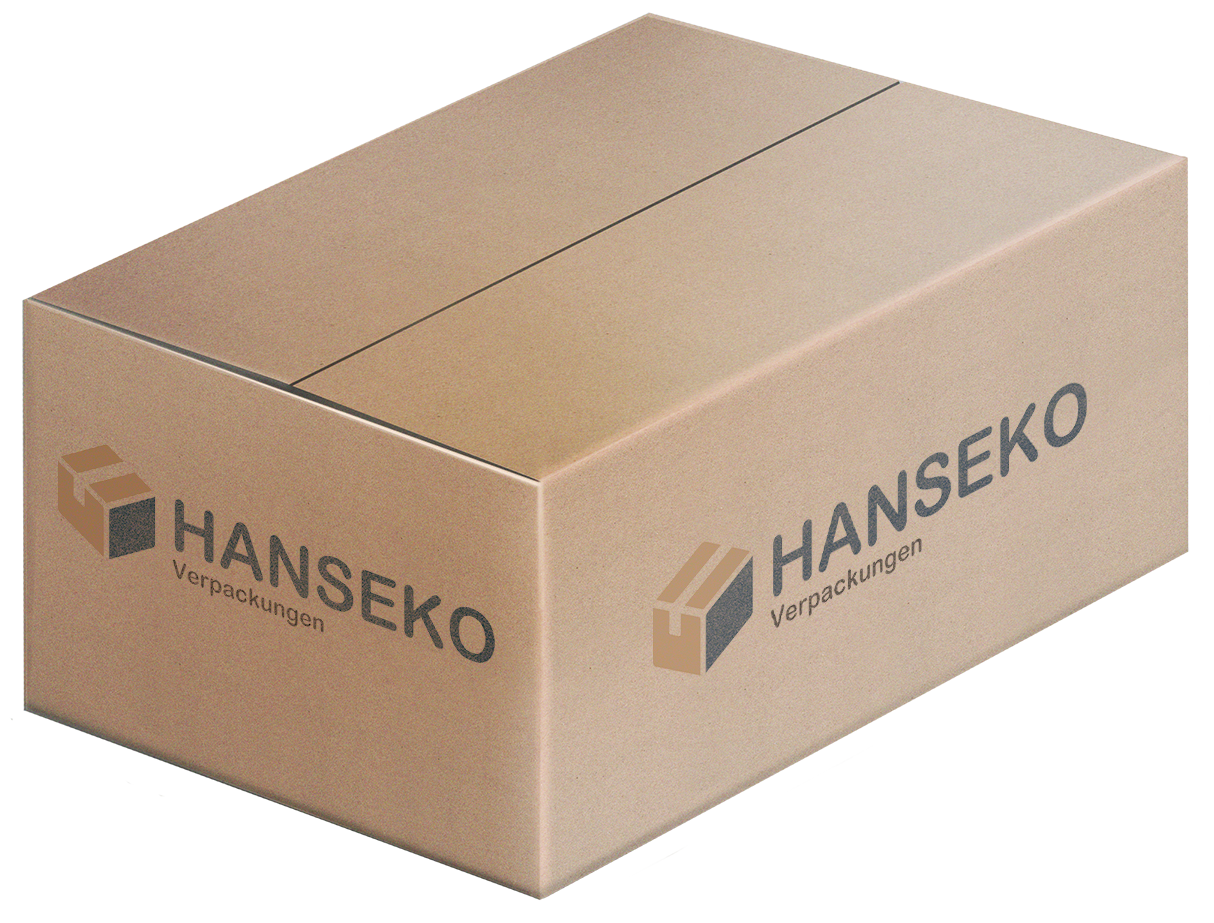 Mockup Karton HanSeKo Verpackungen